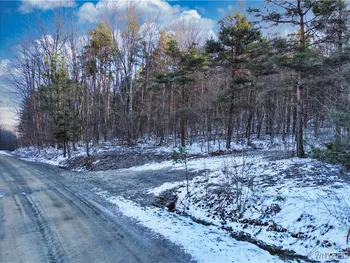 Property at 10 & 11 Creek Ridge Road, Ellicottville, NY 14731