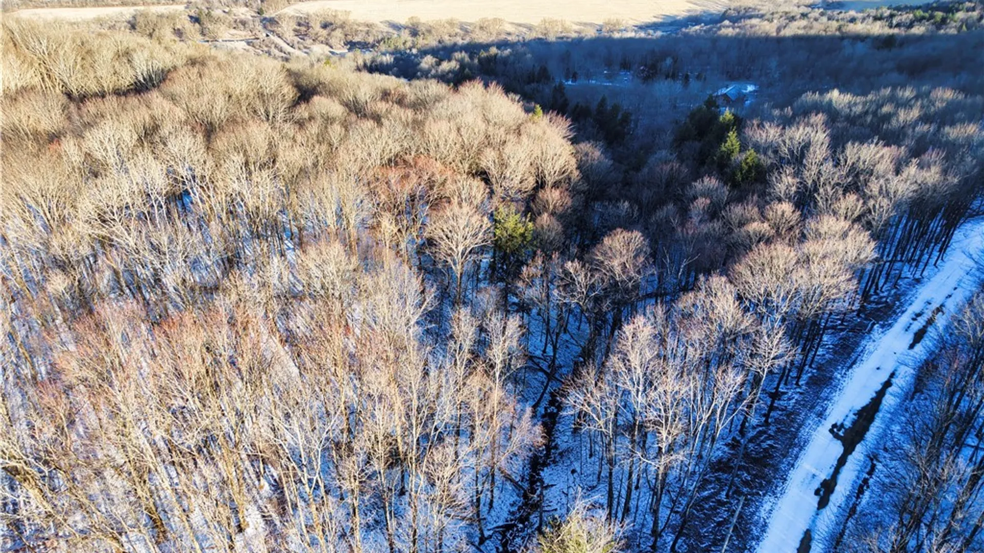 Property at 10 & 11 Creek Ridge Road, Ellicottville, NY 14731 7