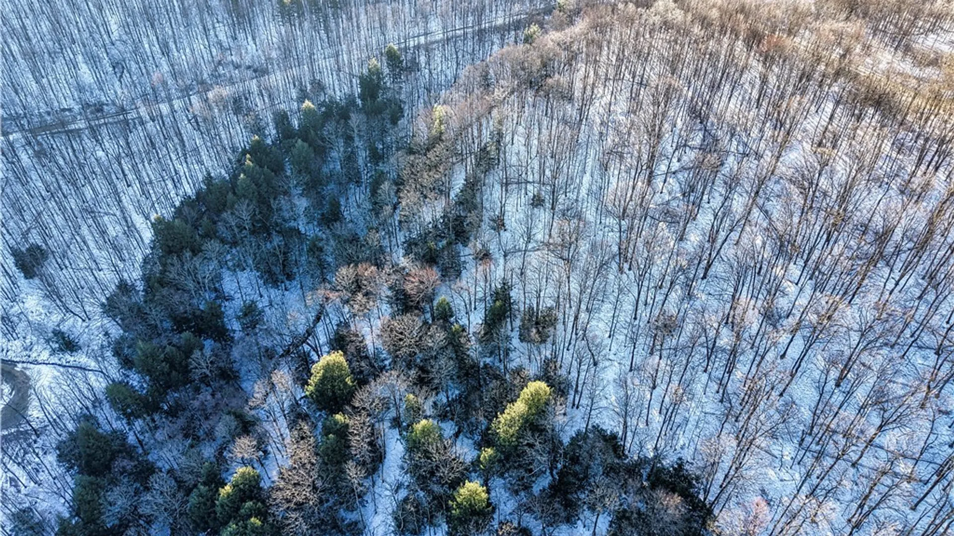 Property at 26 & 27 Creek Ridge Road, Ellicottville, NY 14731 10