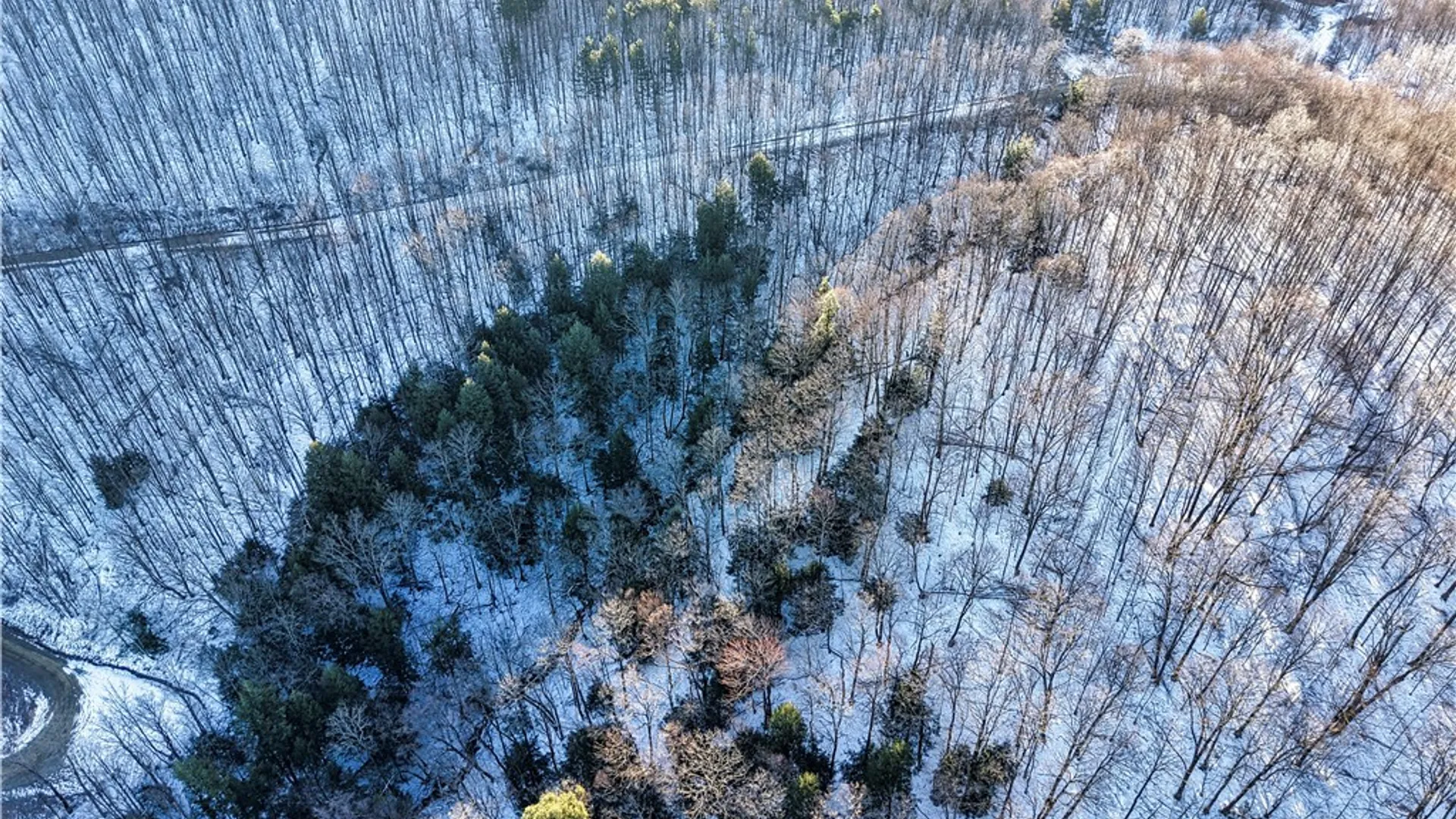 Property at 26 & 27 Creek Ridge Road, Ellicottville, NY 14731 4