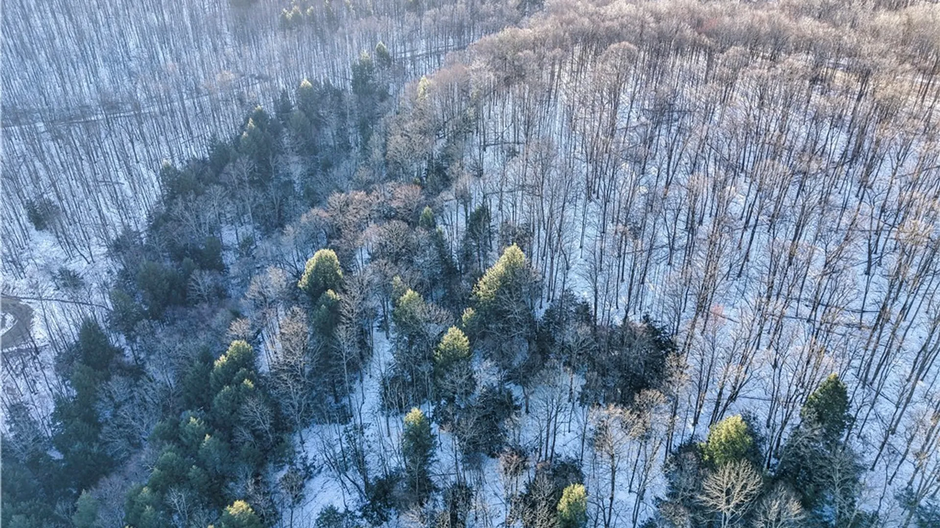 Property at 26 & 27 Creek Ridge Road, Ellicottville, NY 14731 7