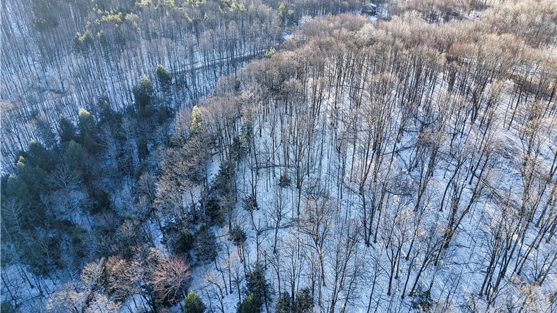 Property at 26 & 27 Creek Ridge Road, Ellicottville, NY 14731 8