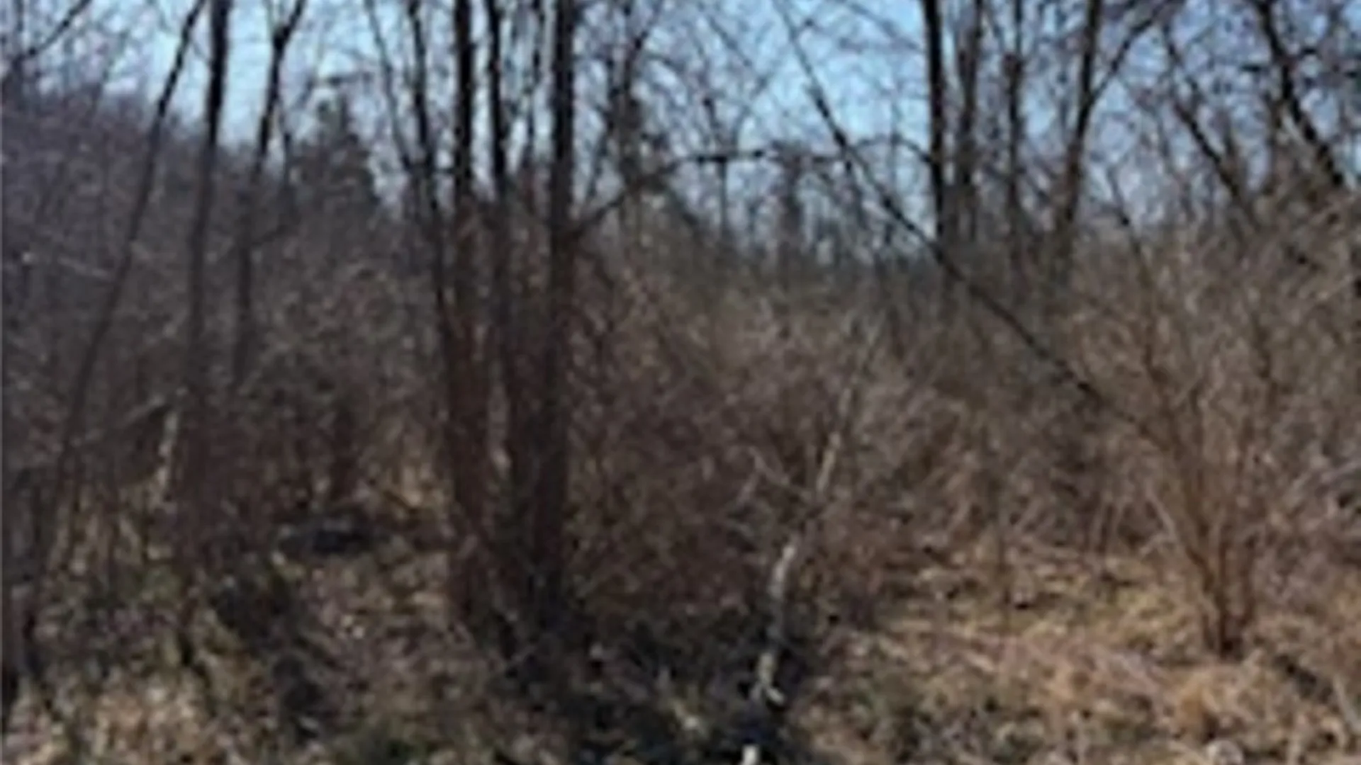 Property at South Holley Road, Clarendon, NY 14429 2
