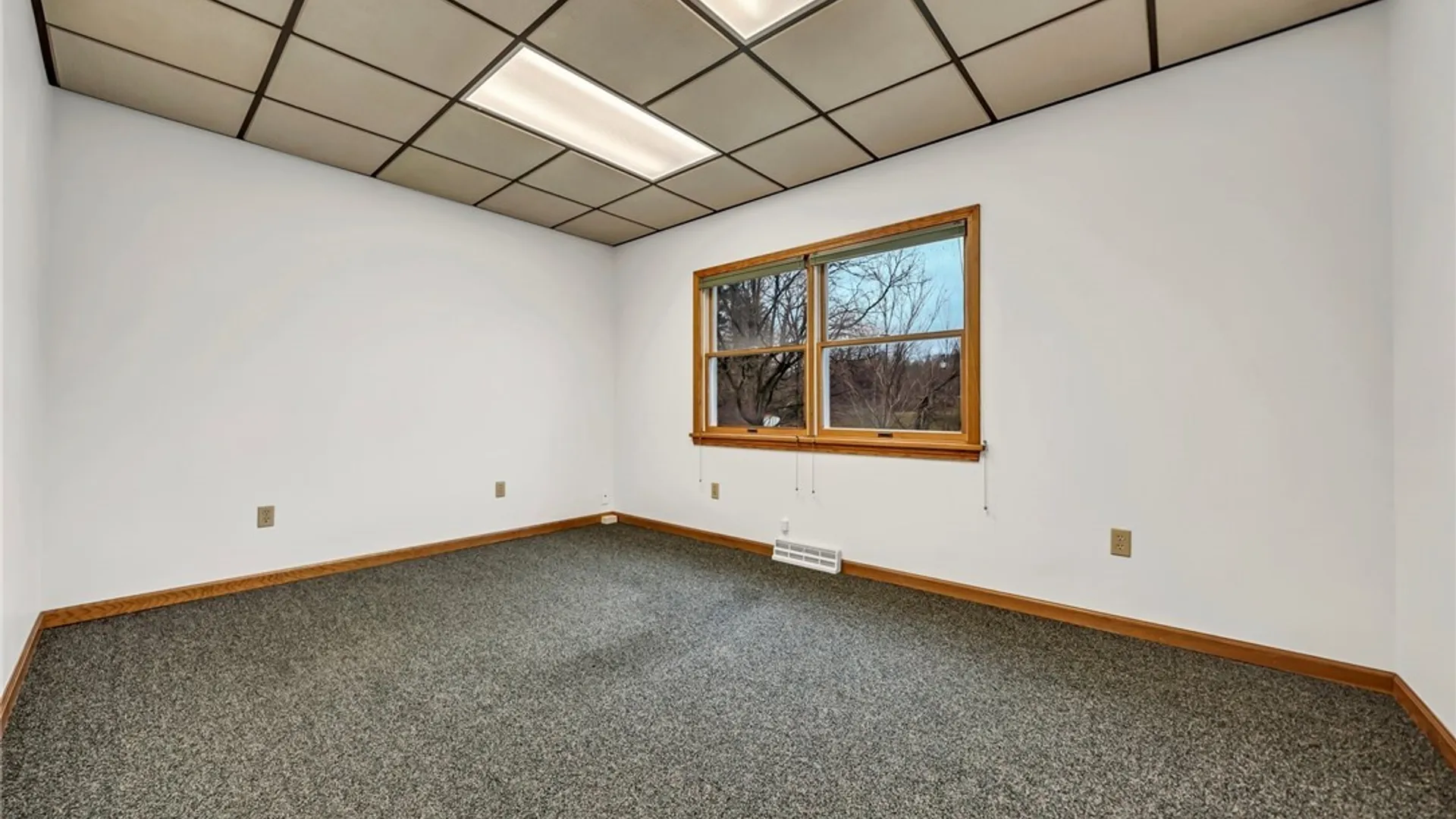 Property at 2901 Bowen Road, Elma, NY 14059 18