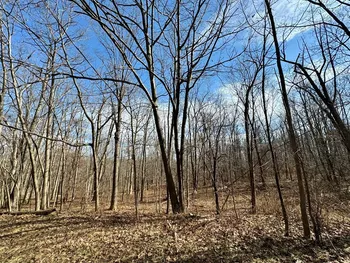 0 Belle Cornell/State Route 414 Drive, Dix, NY 14865