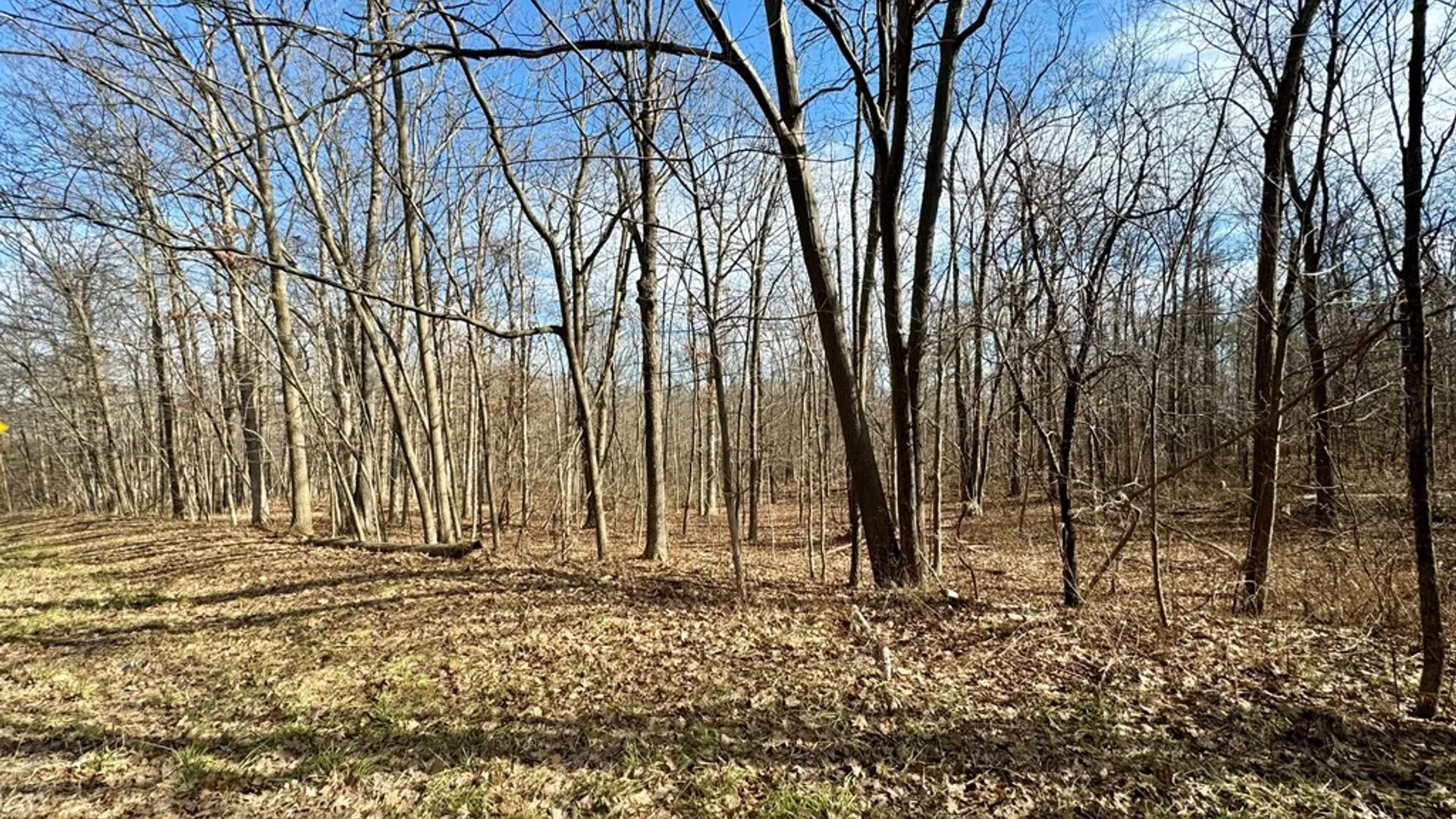 Property at 0 Belle Cornell/State Route 414 Drive, Dix, NY 14865 2