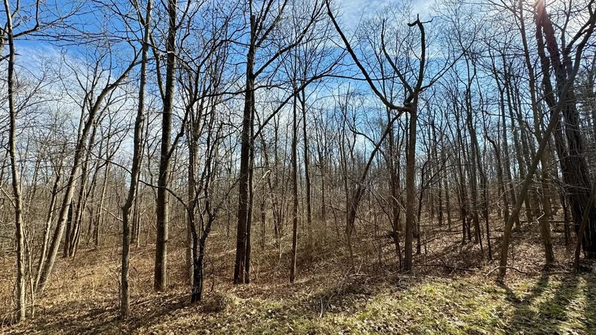 Property at 0 Belle Cornell/State Route 414 Drive, Dix, NY 14865 6
