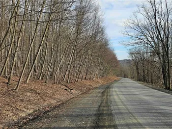 Property at Barden Hill Road, Richford, NY 13835