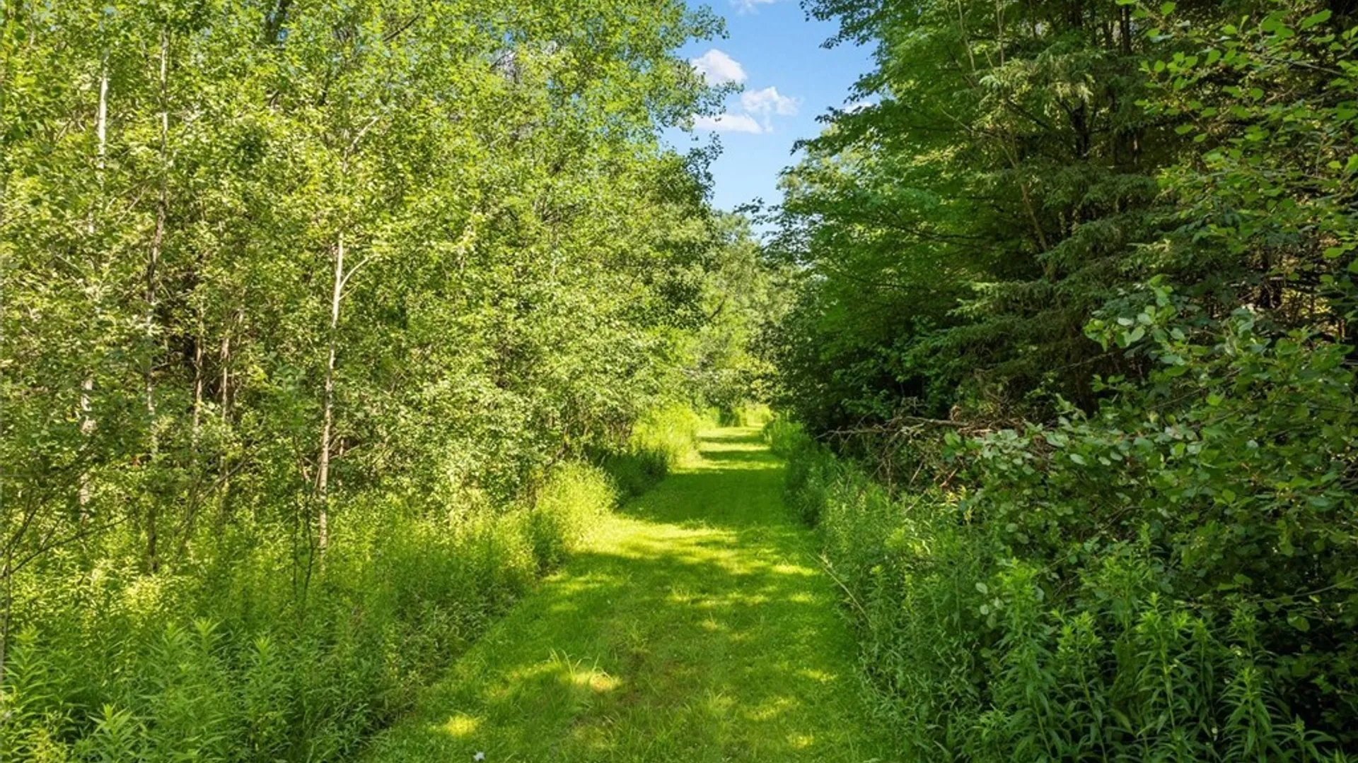 Property at 00 Trenton Road, Deerfield, NY 13502 18
