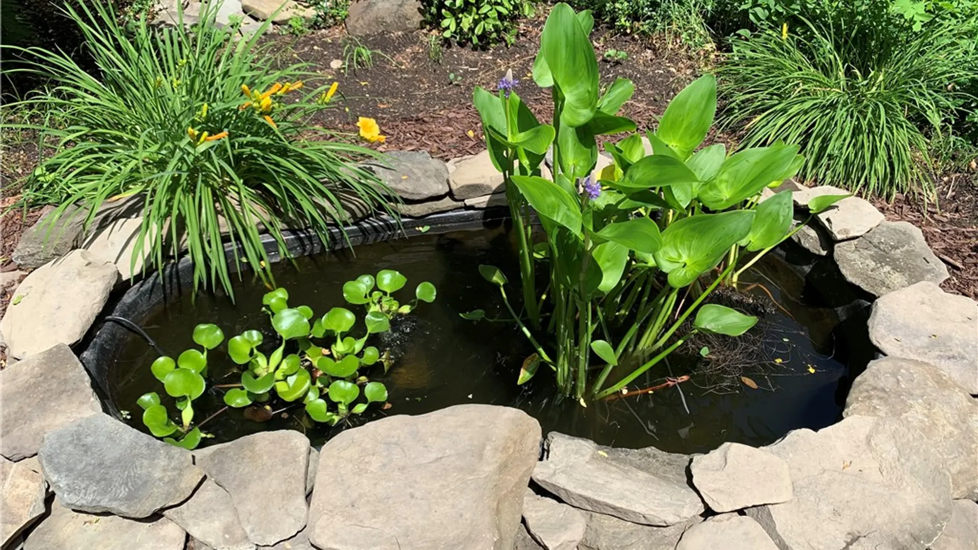 Property at 4508 State Route 64, Bristol, NY 14424 45