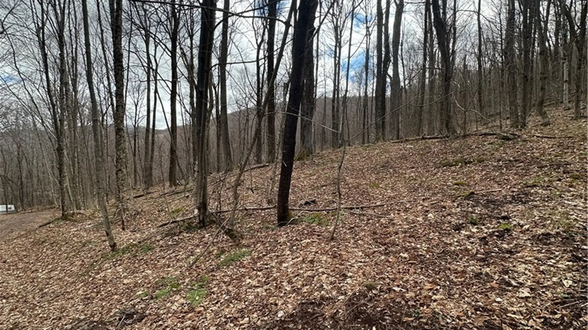 Property at Kims Way, Stamford, NY 12167 3