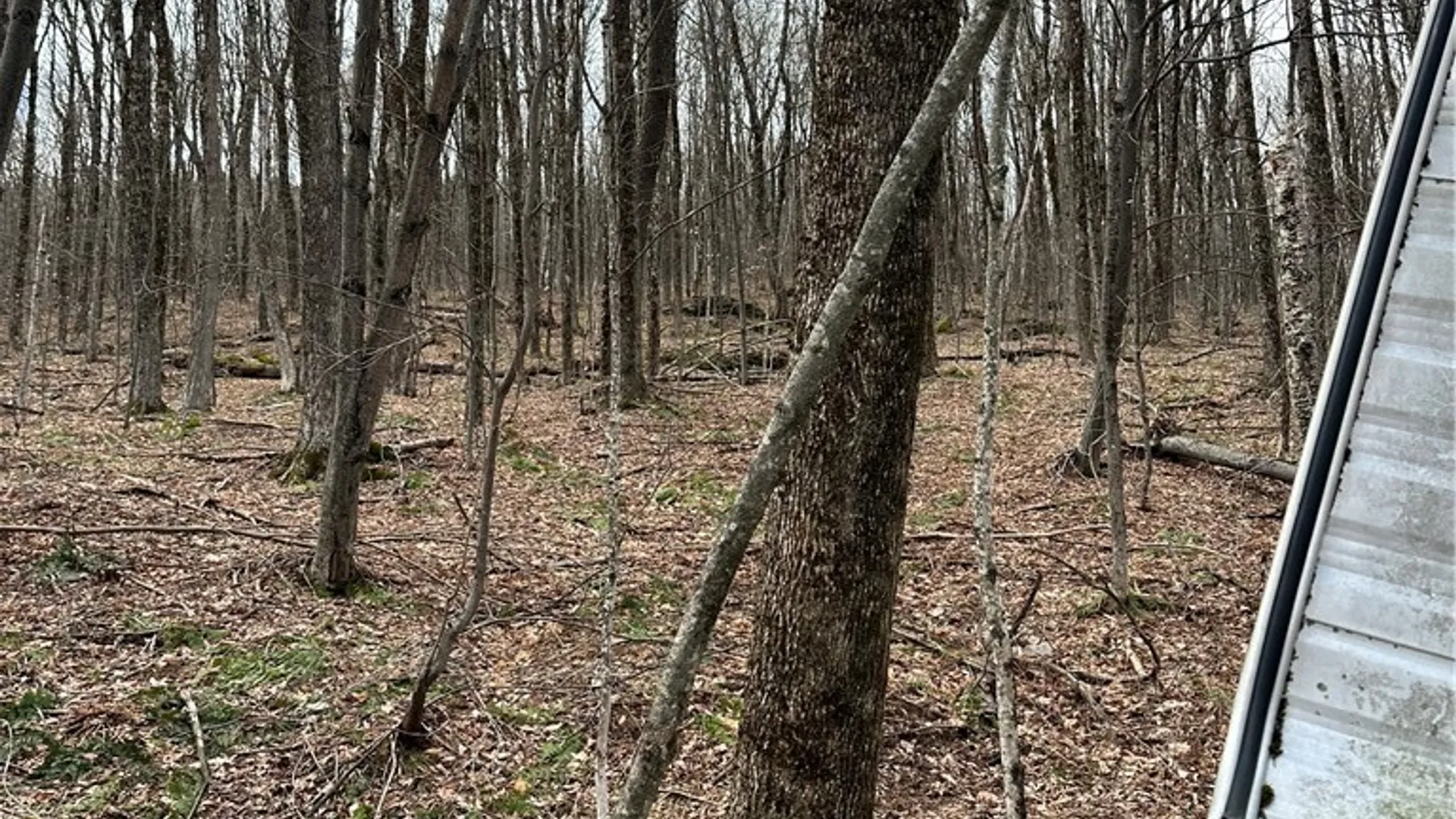 Property at Kims Way, Stamford, NY 12167 4