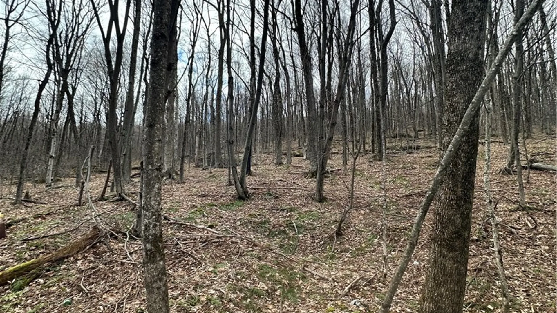 Property at Kims Way, Stamford, NY 12167 5