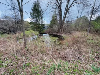 Property at 0 Marsh Road, Tuscarora, NY 14801