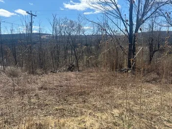 Property at 22 Cronk Road, Candor, NY 13743