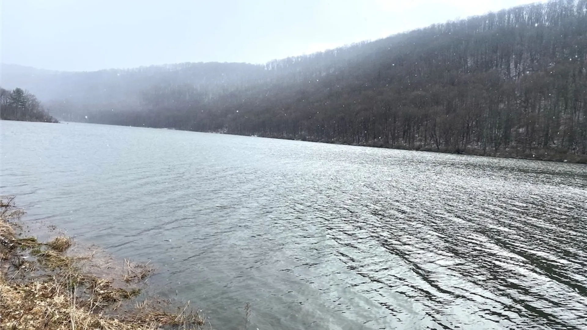 Property at Cr-38, Alma, NY 14708 10