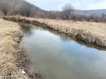 Cr-38, Alma, NY 14708