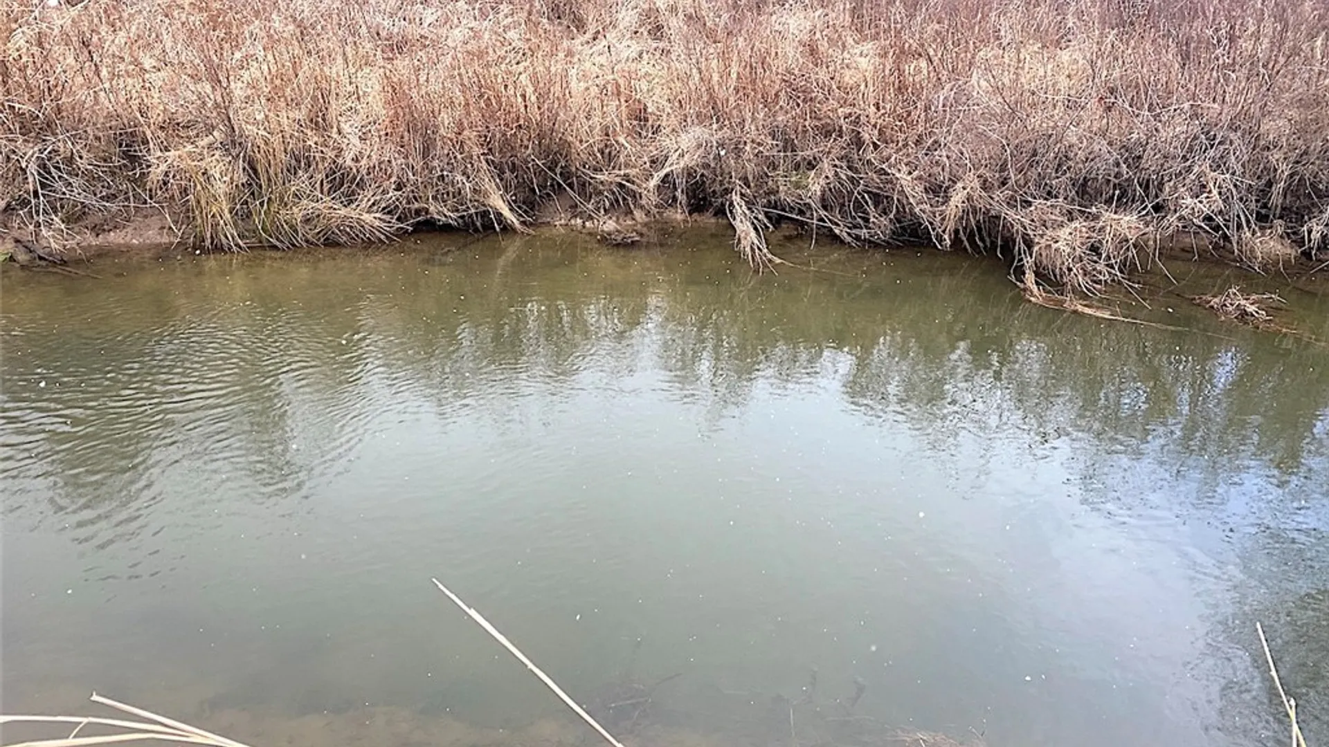 Property at Cr-38, Alma, NY 14708 2