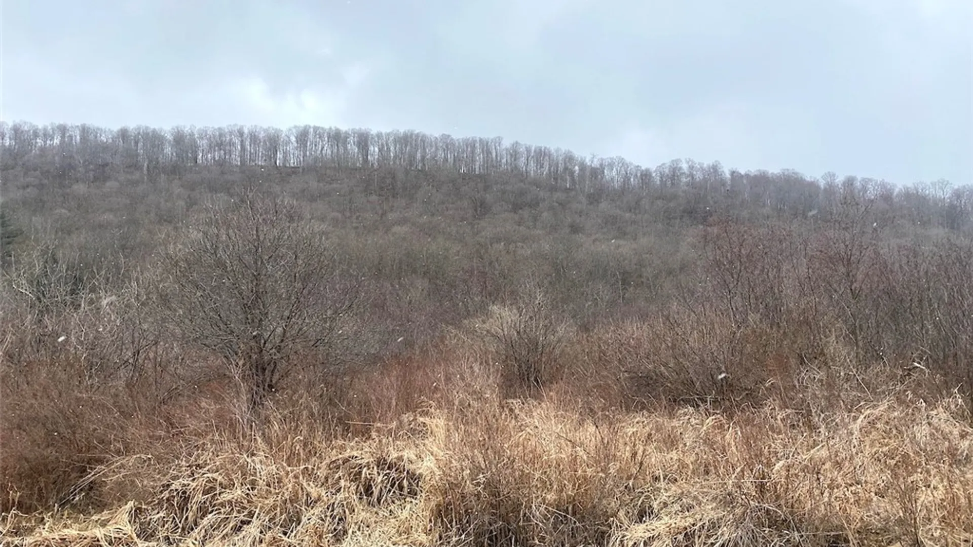 Property at Cr-38, Alma, NY 14708 3