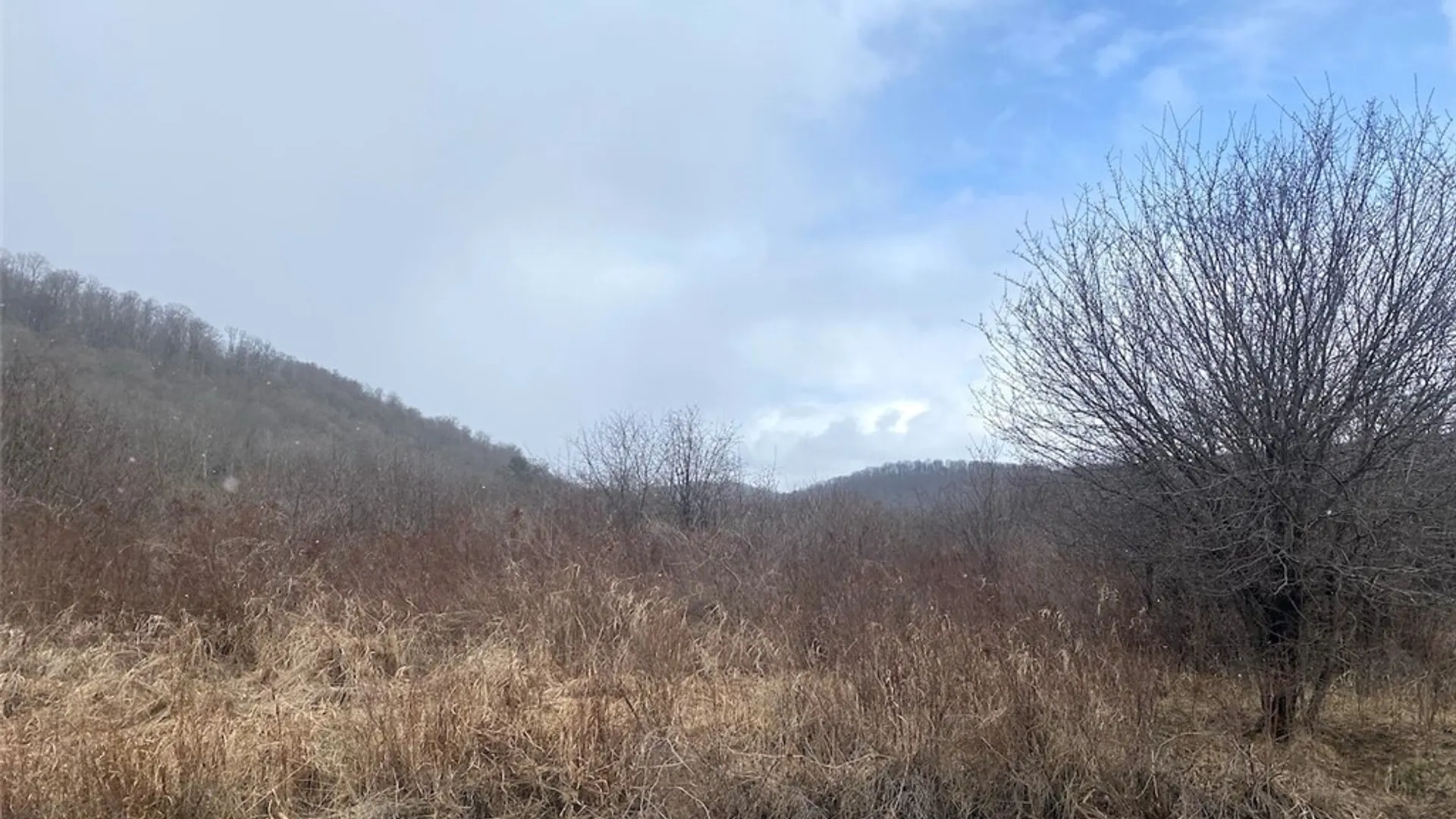 Property at Cr-38, Alma, NY 14708 4