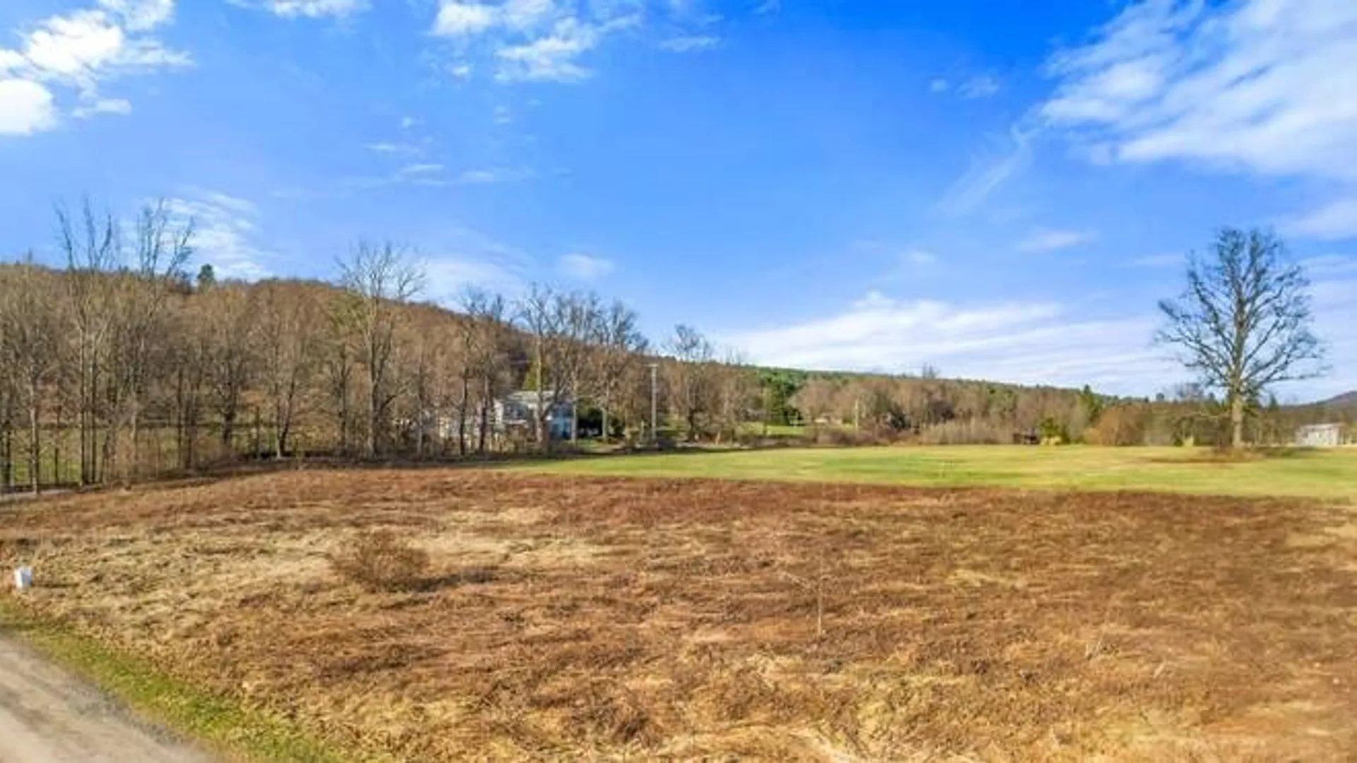 Property at L43.3 Fairway Court, Afton, NY 13730 6