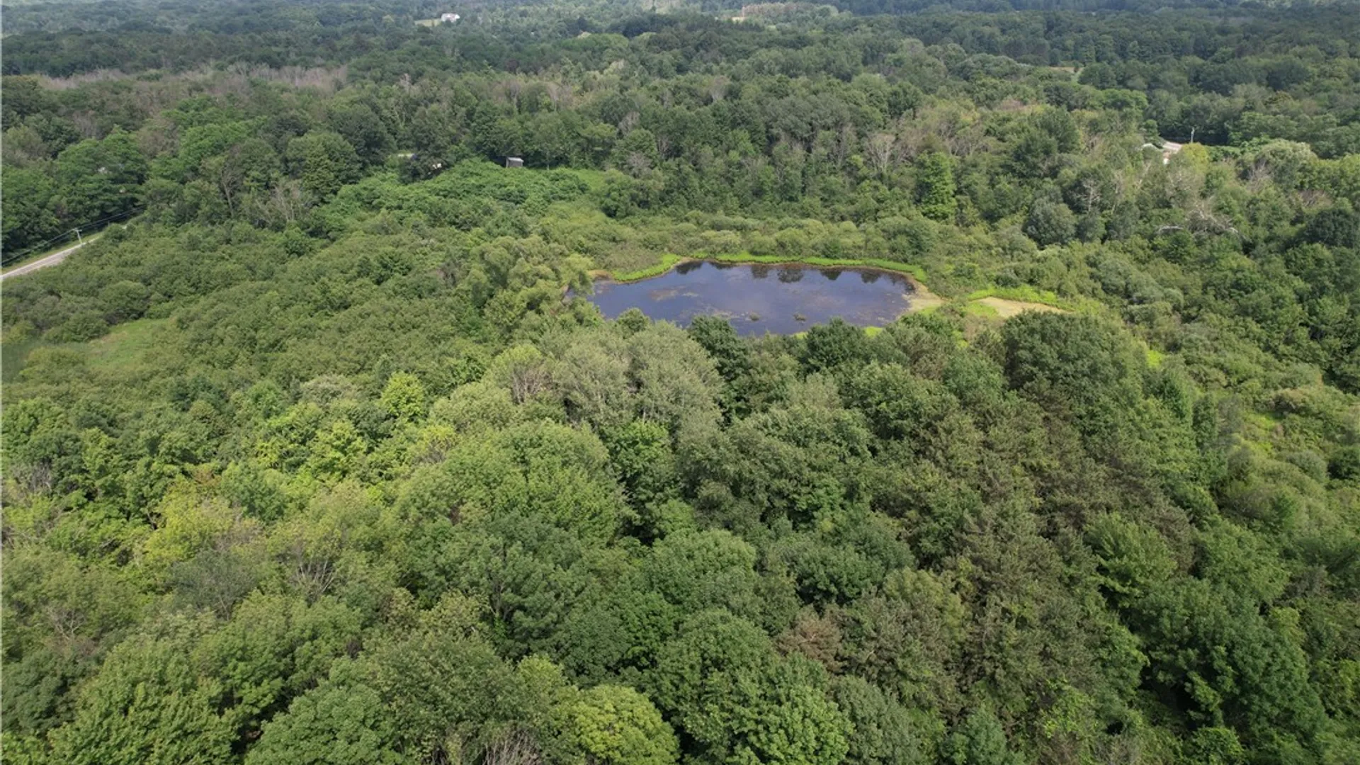 Property at Mason Road, New Haven, NY 13114 10