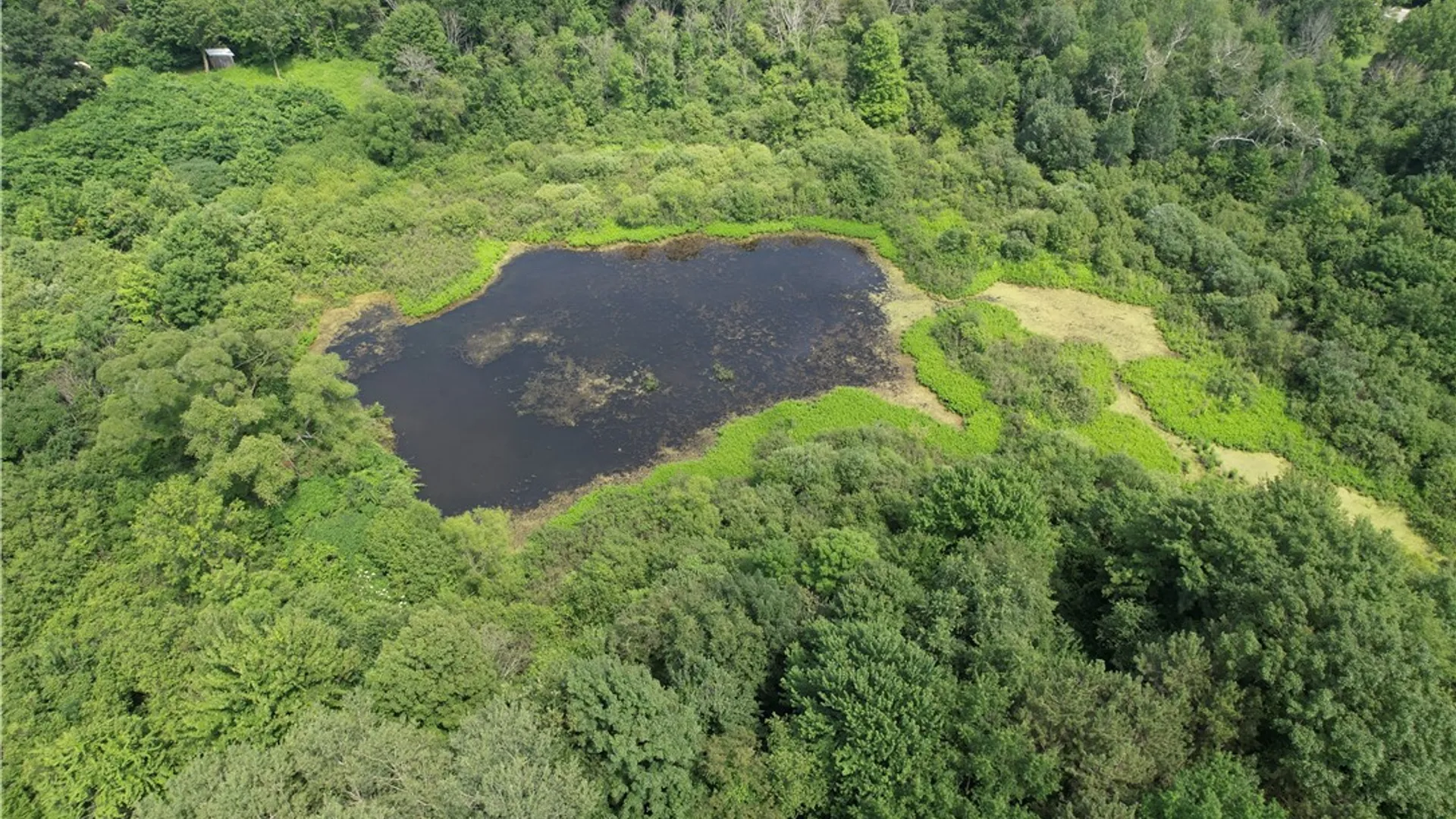 Property at Mason Road, New Haven, NY 13114 11