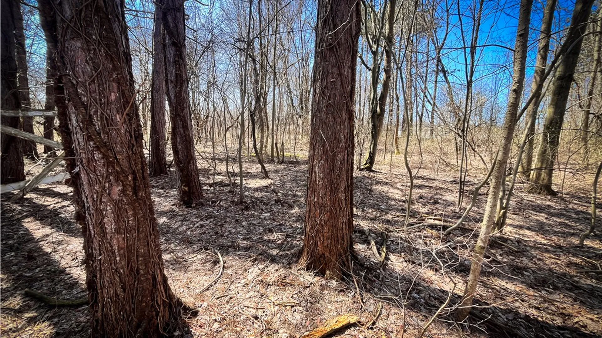 Property at Mason Road, New Haven, NY 13114 14