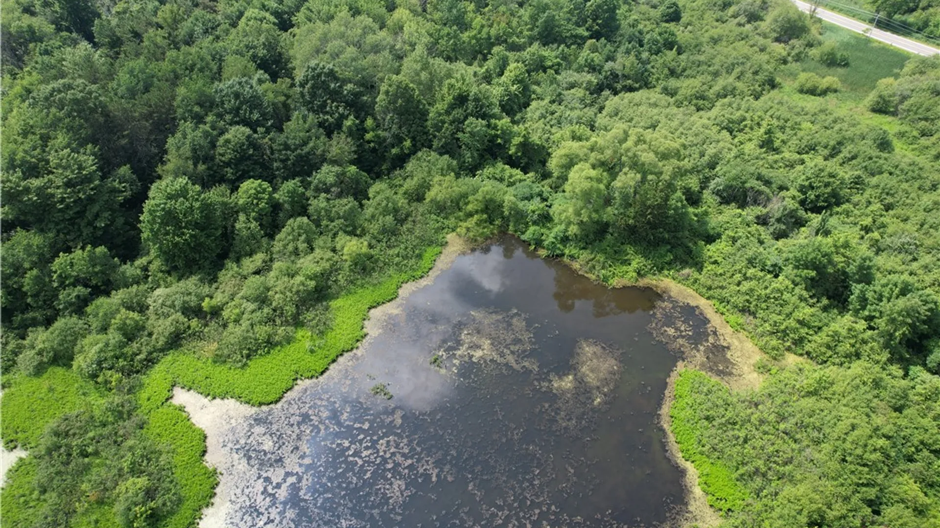 Property at Mason Road, New Haven, NY 13114 15