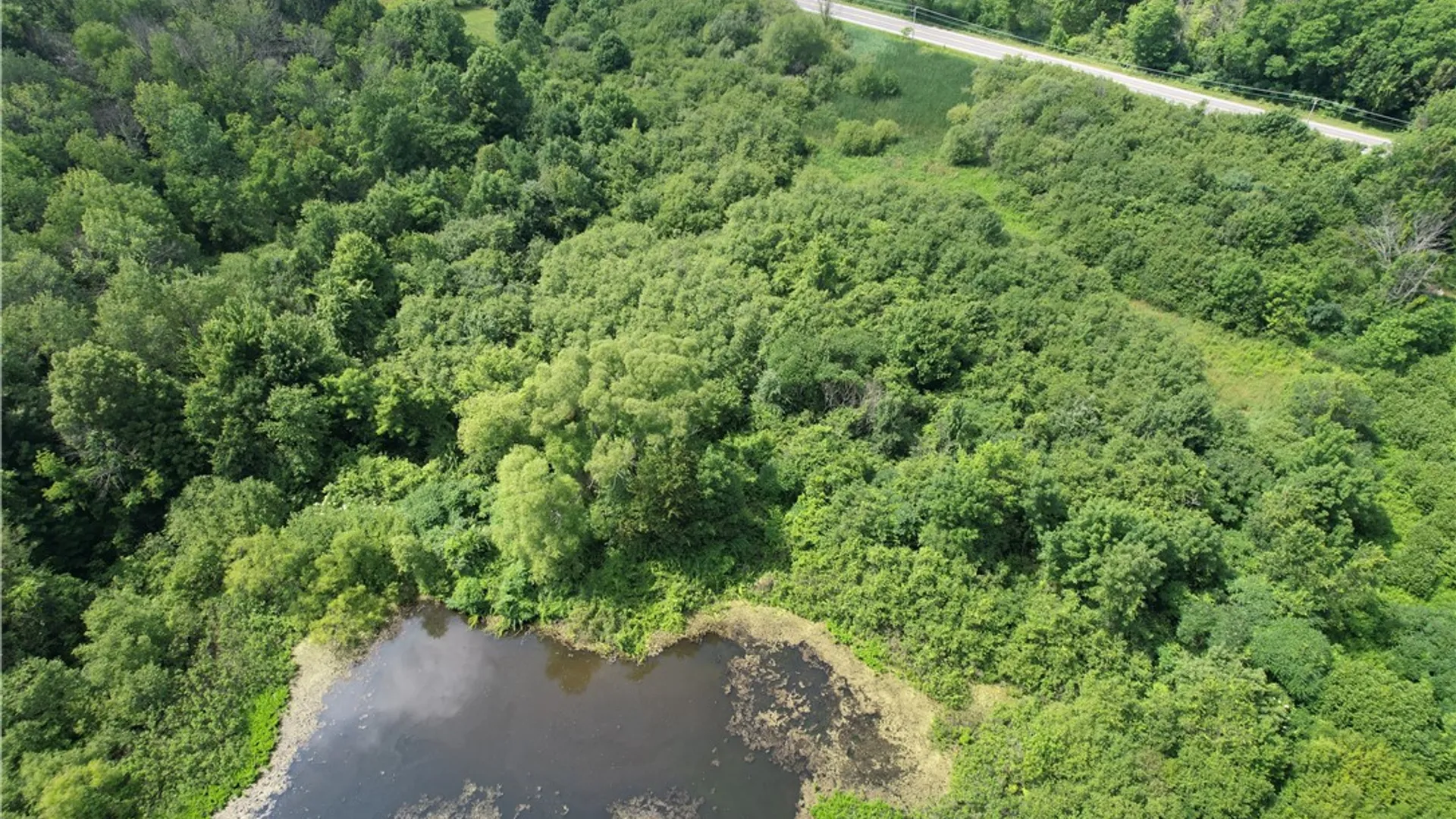 Property at Mason Road, New Haven, NY 13114 16