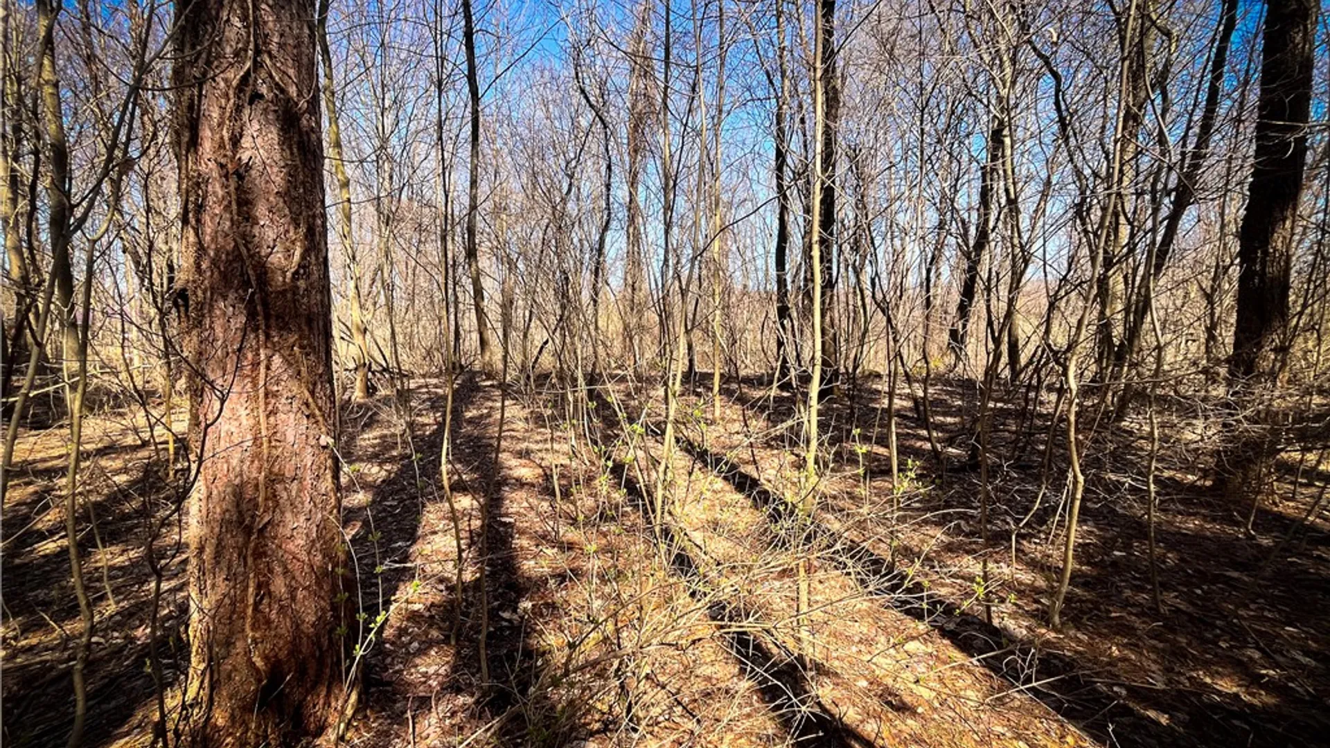 Property at Mason Road, New Haven, NY 13114 18