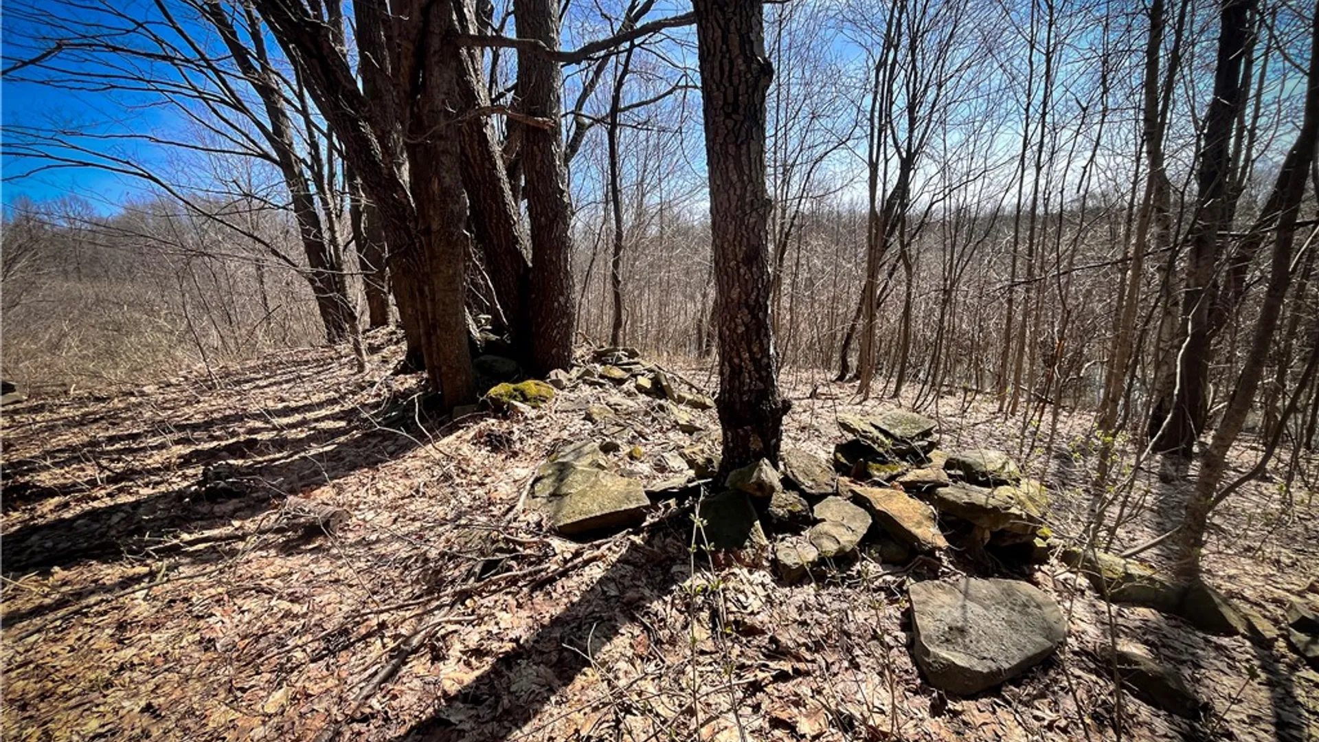 Property at Mason Road, New Haven, NY 13114 21