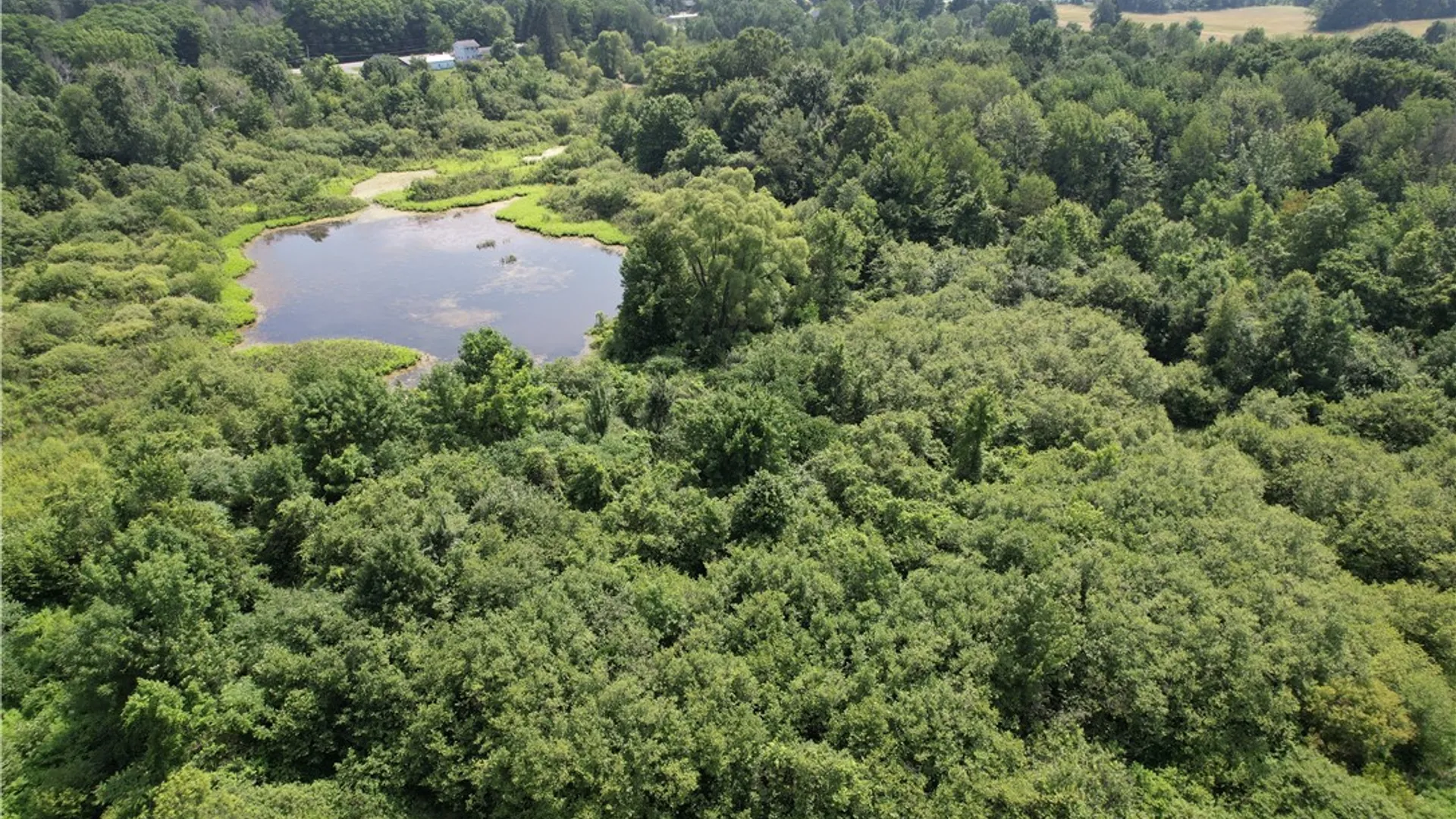 Property at Mason Road, New Haven, NY 13114 24