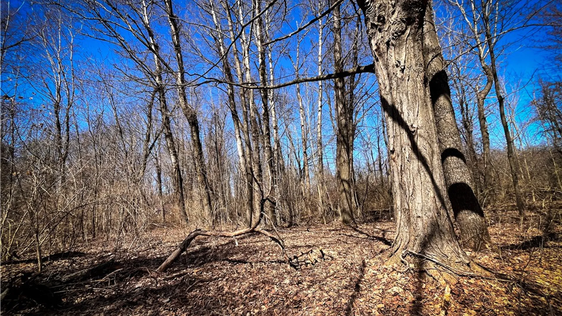 Property at Mason Road, New Haven, NY 13114 26