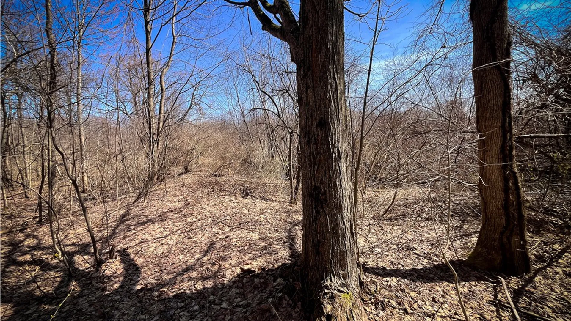 Property at Mason Road, New Haven, NY 13114 27