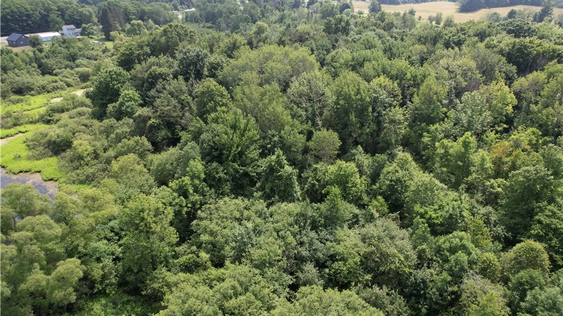 Property at Mason Road, New Haven, NY 13114 29