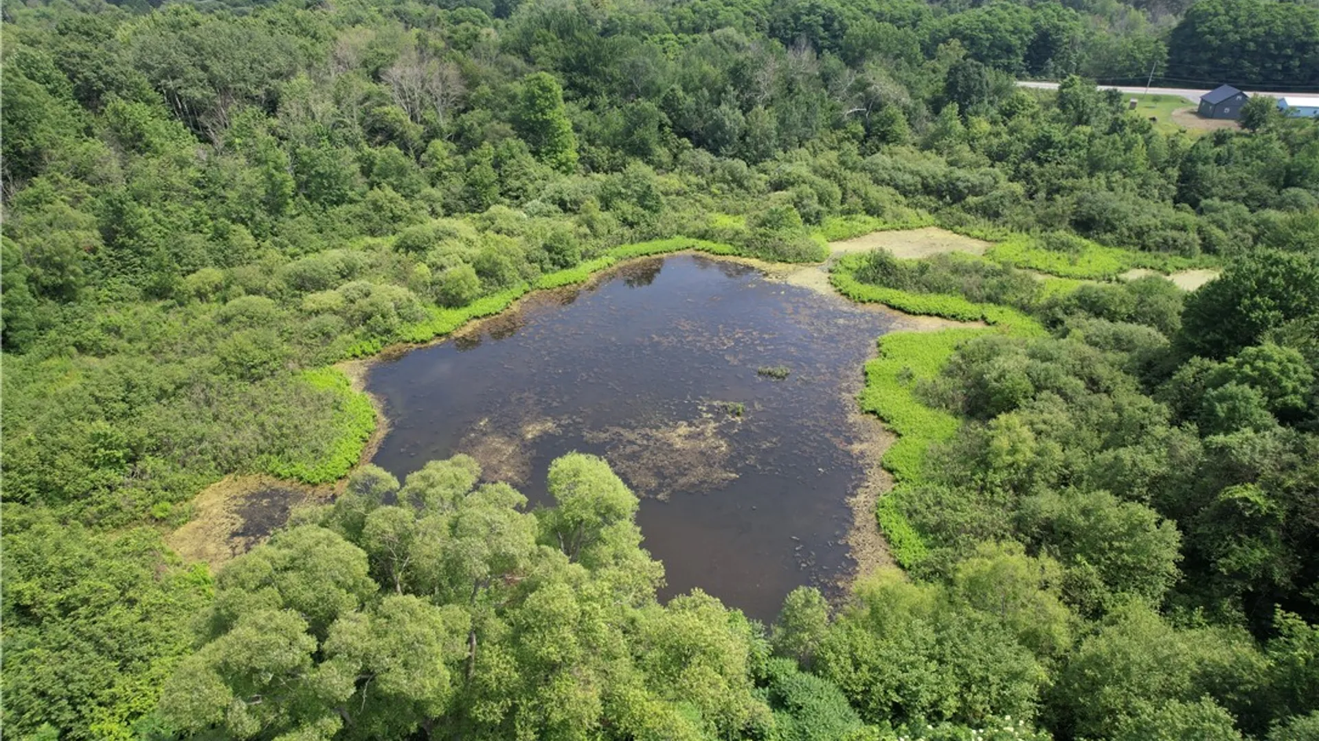 Property at Mason Road, New Haven, NY 13114 3