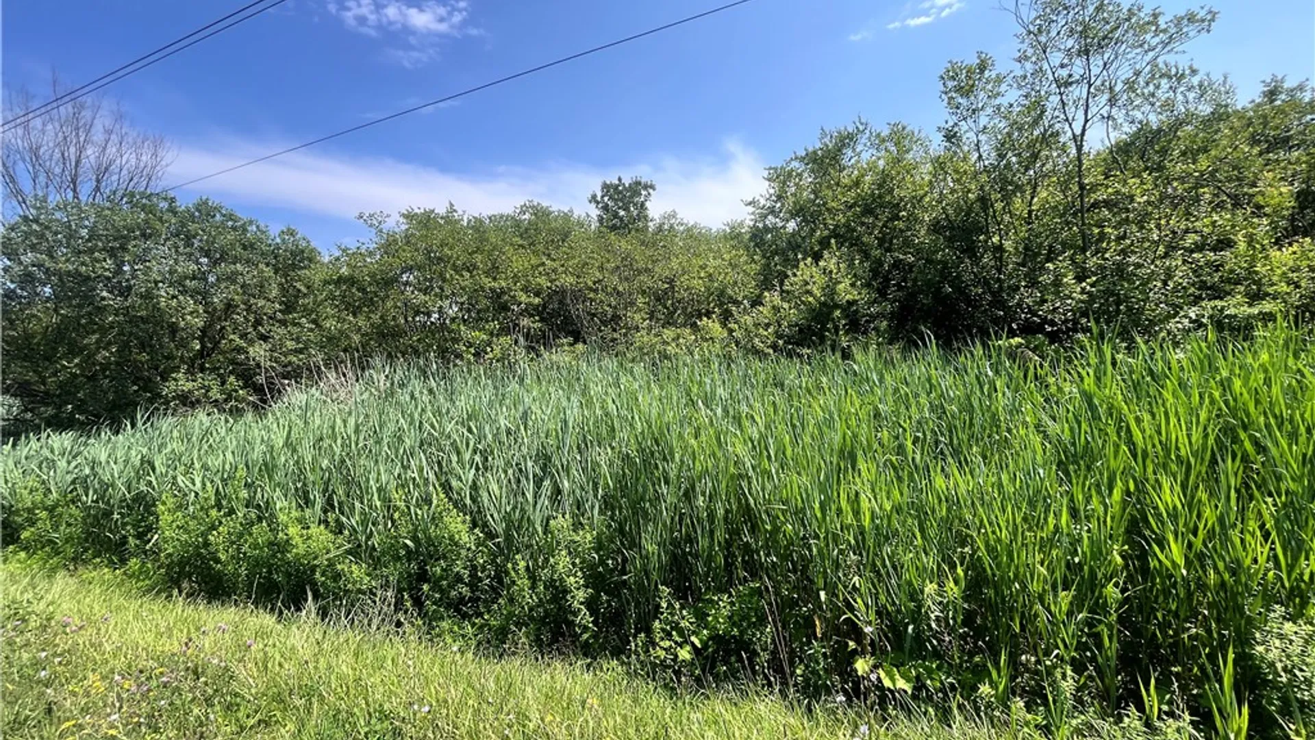 Property at Mason Road, New Haven, NY 13114 30