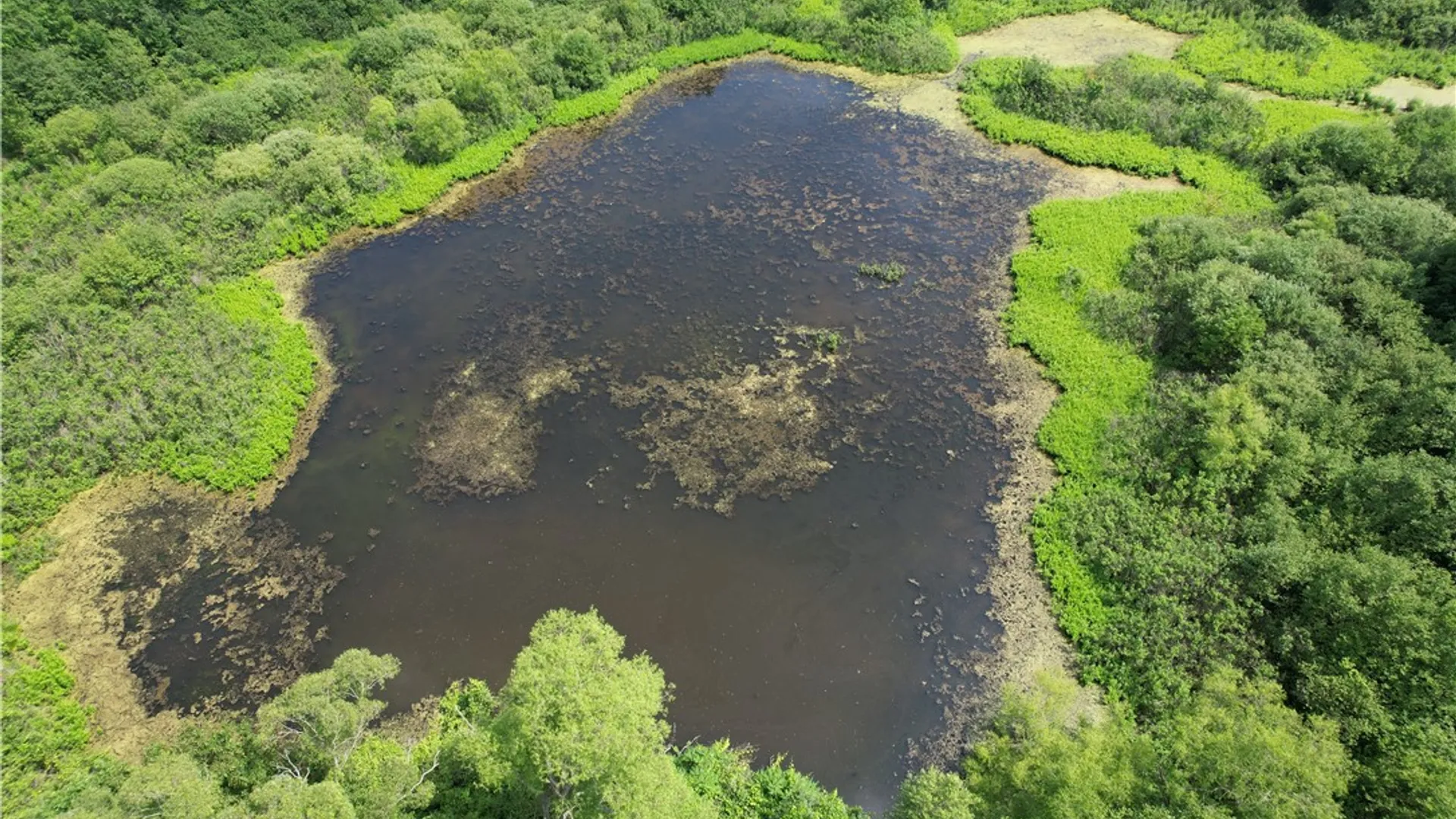 Property at Mason Road, New Haven, NY 13114 4