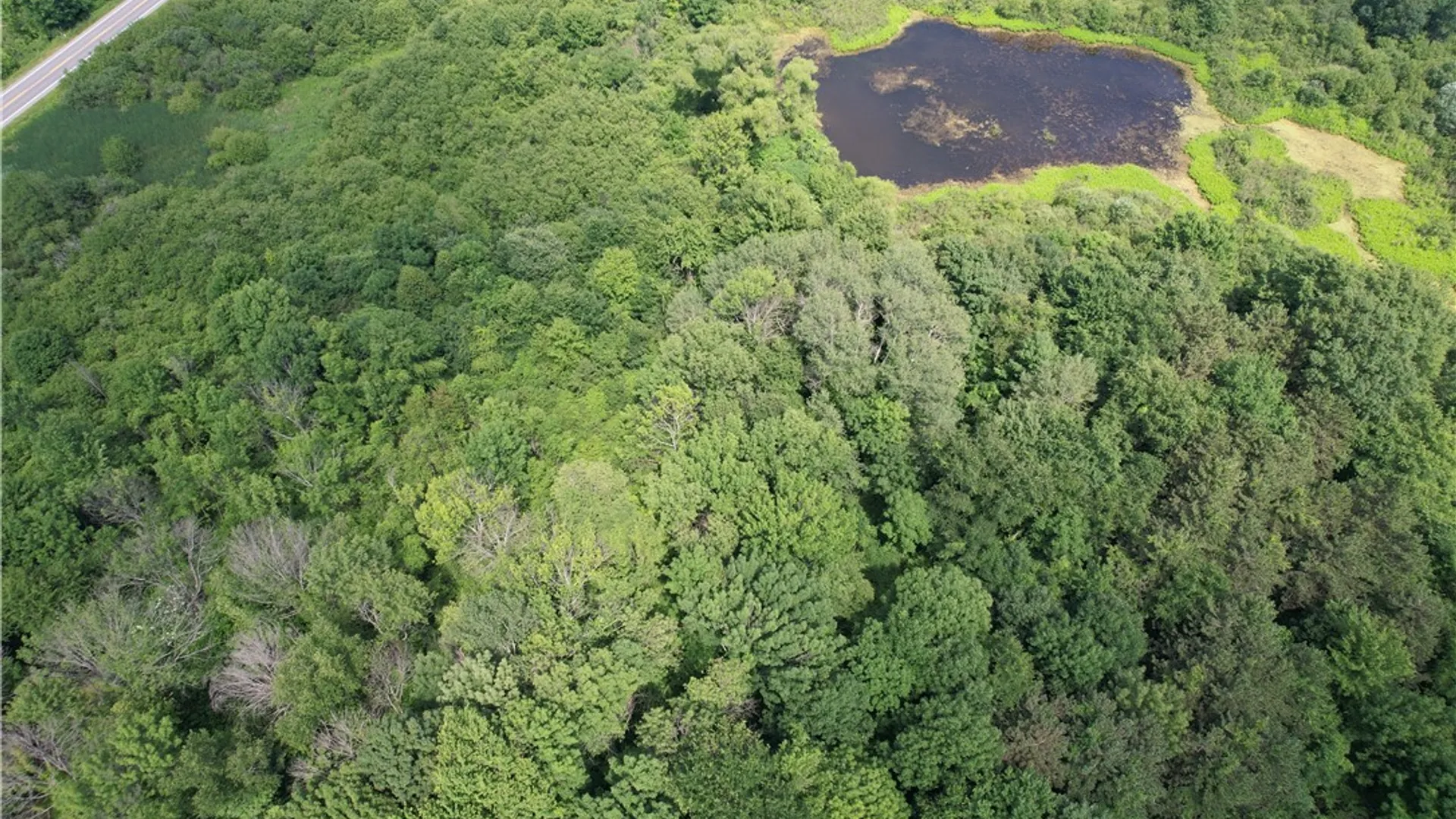 Property at Mason Road, New Haven, NY 13114 7