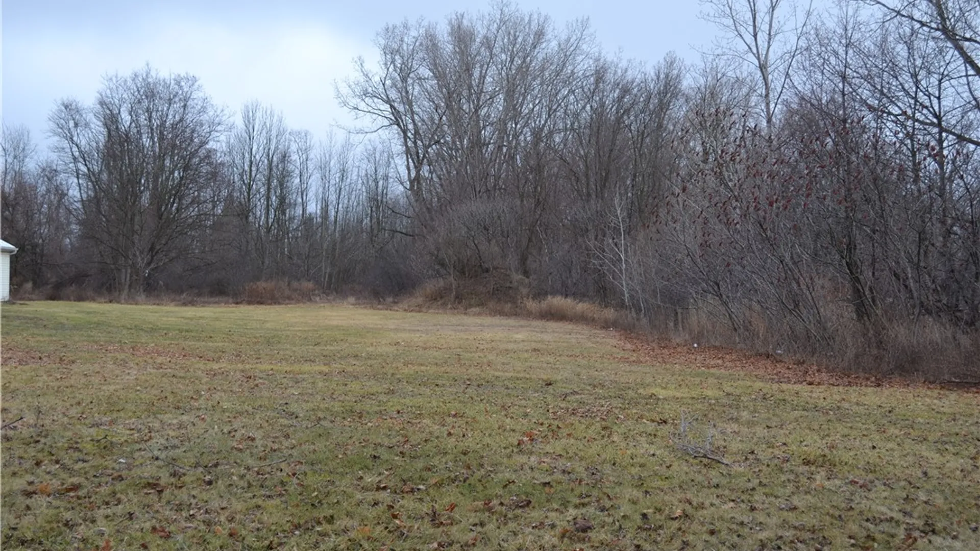 Property at 7185 Main Road, Leroy, NY 14482 2