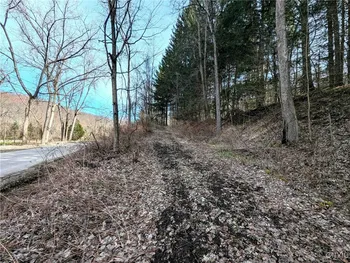 Property at Ryan Hollow Road, Cohocton, NY 14826