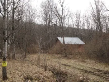 Property at 3282 Rock Run Rd, Canisteo, NY 14823