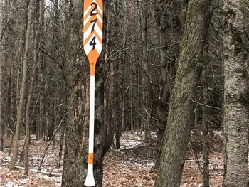 Property at 274 Bob Wilson Road, Milford, NY 13820