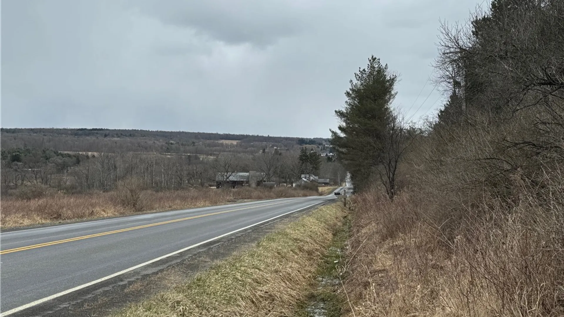 Property at 0 MILLER Road, Danby, NY 14850 10