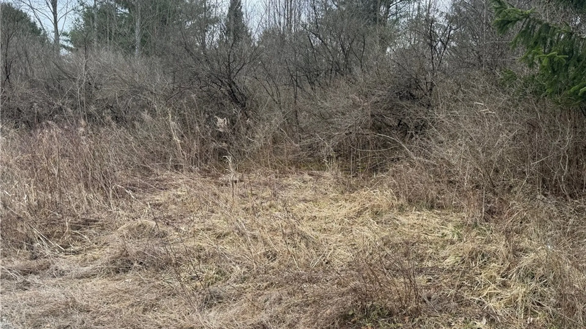 Property at 0 MILLER Road, Danby, NY 14850 11