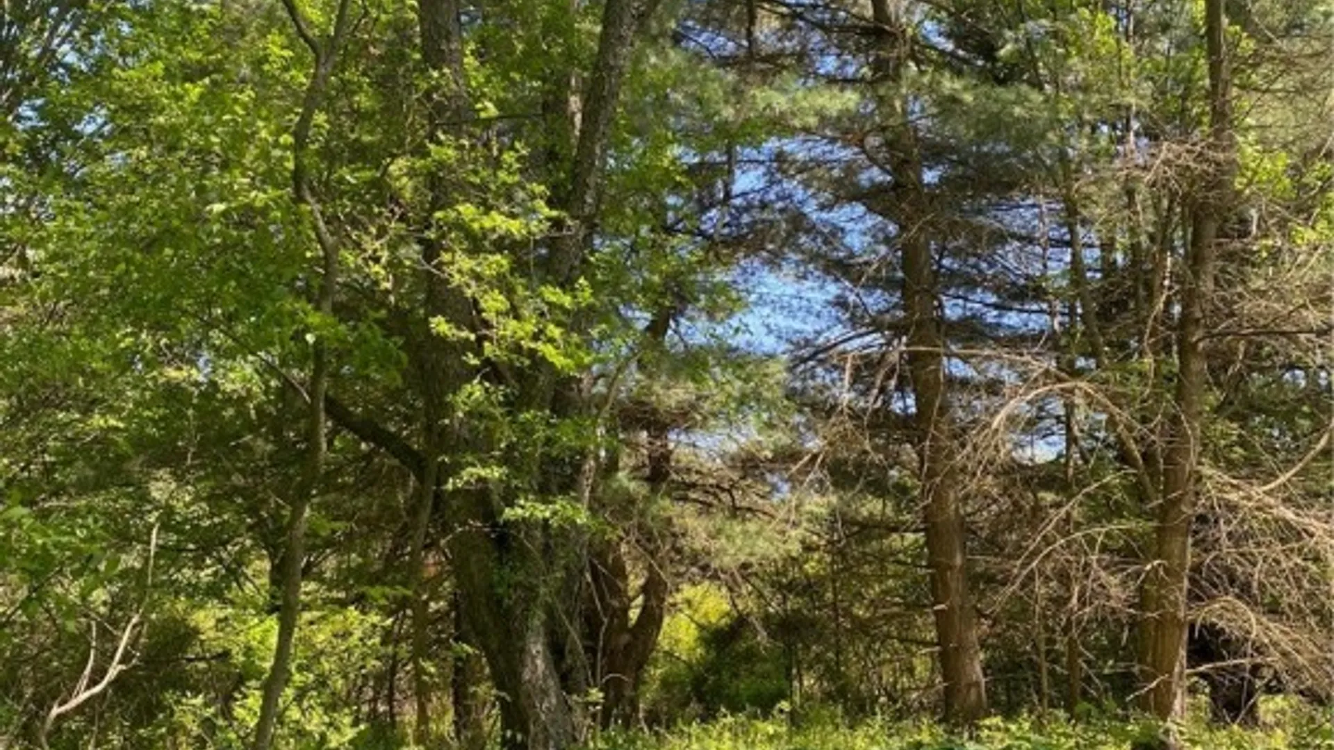 Property at 0 MILLER Road, Danby, NY 14850 7