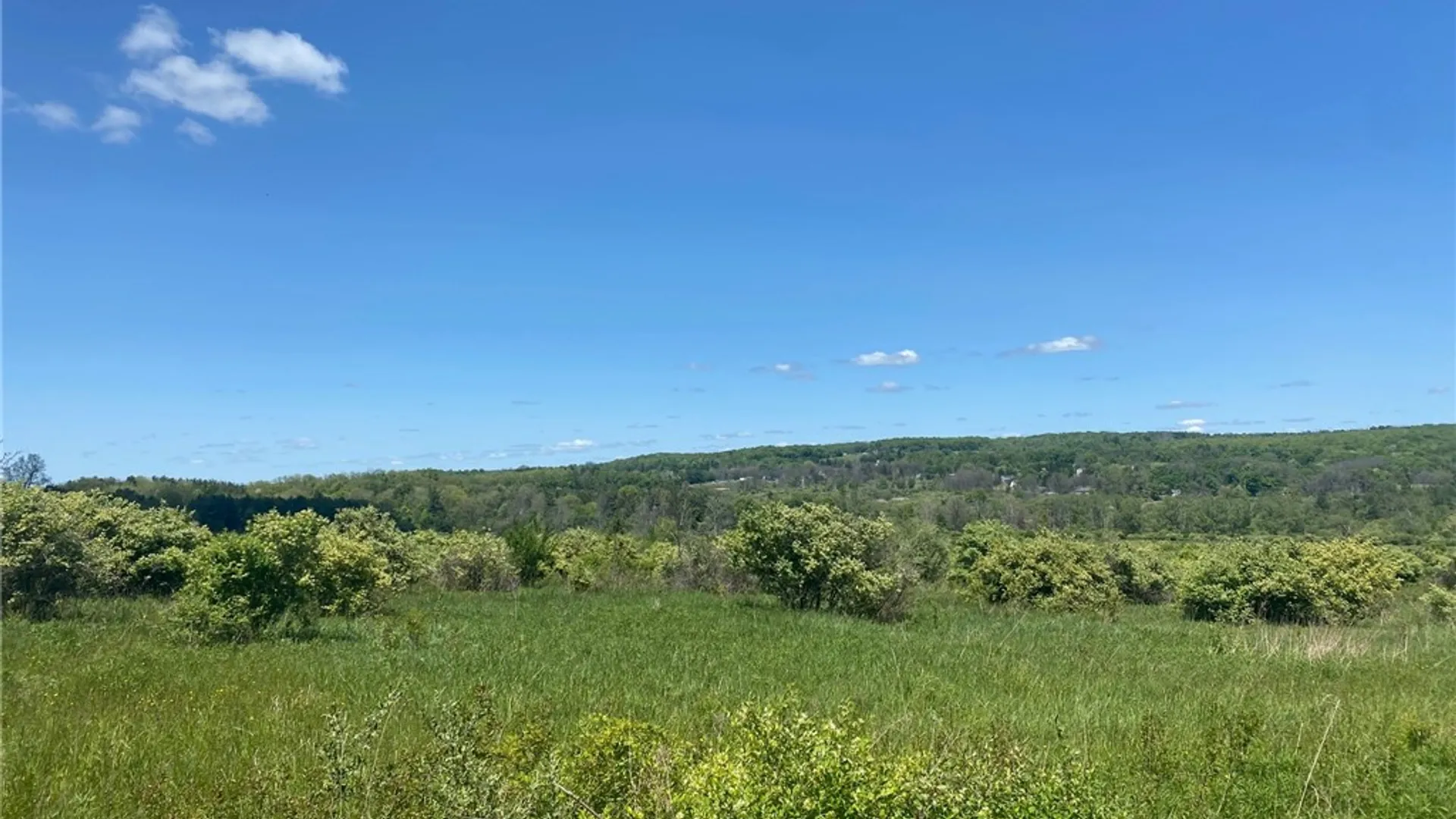 Property at 0 MILLER Road, Danby, NY 14850 8