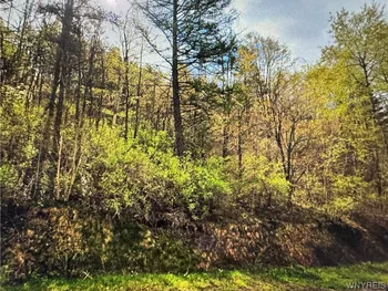 Property at Skyline Drive, Machias, NY 14042