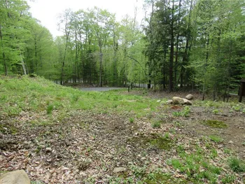 Property at 142 Joy Tract Road, Webb, NY 13420